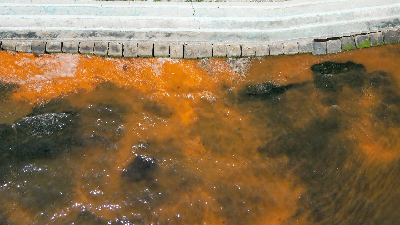 Marmara Denizi'nin Tekirdağ kıyıları, yükselen hava sıcaklıklarıyla birlikte turuncuya boyandı. Uzmanlar, korkulacak bir durum olmadığını ve bunun tamamen mevsimsel bir plankton patlaması olduğunu açıkladı.